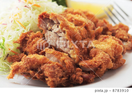 チキンカツのアップ 8783910