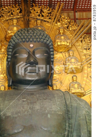 奈良の大仏　正面縦向き 8783959