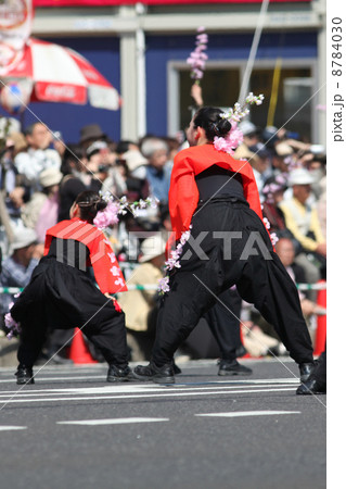 広島フラワーフェスティバル２０１３　よさこい踊り 8784030