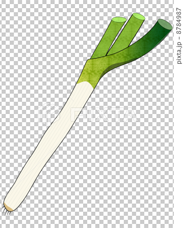 長ネギ 長ネギ 8784987