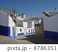 スペイン 8786351