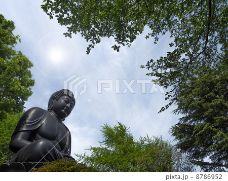 大仏 大仏 8786952