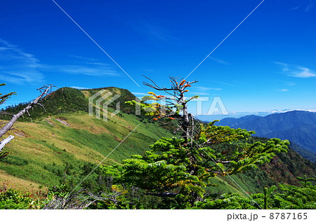 裏岩菅山、稜線展望 裏岩菅山、稜線展望 8787165