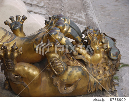 故宮 故宮 8788009