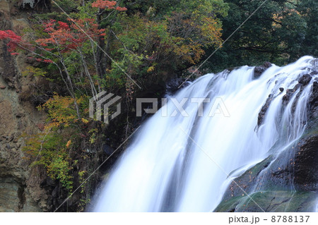 秋の龍門の滝（栃木県） 8788137