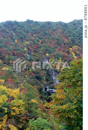 鳴子峡の紅葉と電車 8788661