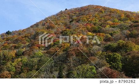 米沢　入田沢の紅葉 8790262