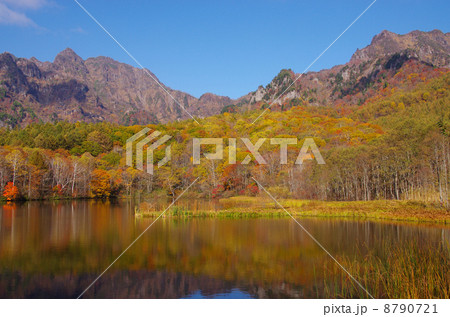 戸隠高原 鏡池の紅葉の写真素材