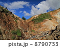夏山の風景 8790733