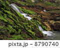 渓流とチャツボミゴケ 8790740