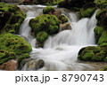 渓流とチャツボミゴケ 8790743