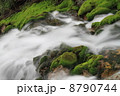 渓流とチャツボミゴケ 8790744