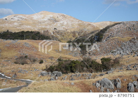 冬の平尾台 8790751