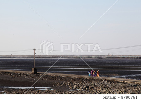 長部田海床路 長部田海床路 8790761