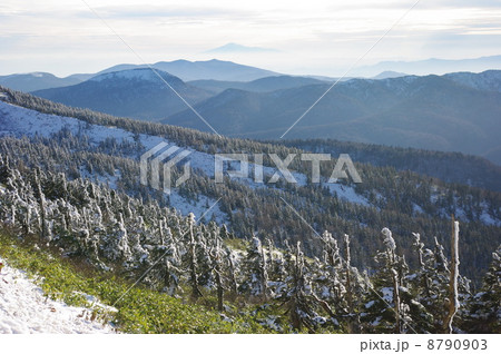 八幡平から望む樹氷・山並み・鳥海山 八幡平から望む樹氷・山並み・鳥海山 8790903