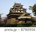 松江城 8790956
