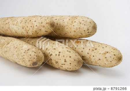 とろろ芋 とろろ芋 8791266