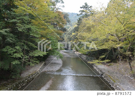 伊勢神宮　内宮 8791572