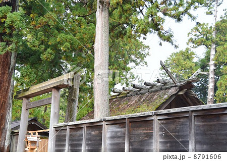 伊勢神宮 外宮 正宮 伊勢神宮 外宮 正宮 8791606