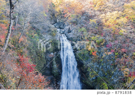 秋の秋保大滝 8791838