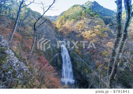 秋の秋保大滝 8791841