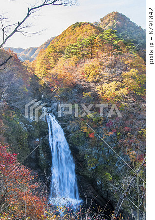 秋の秋保大滝 8791842