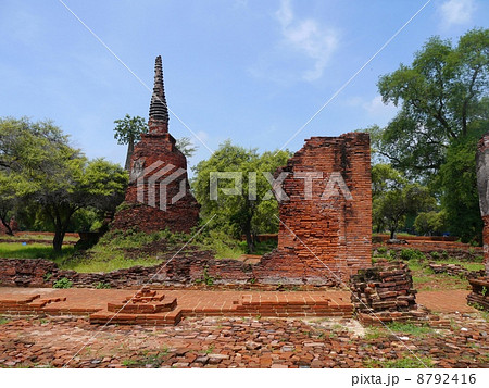 ワットプラシーサンペット 8792416