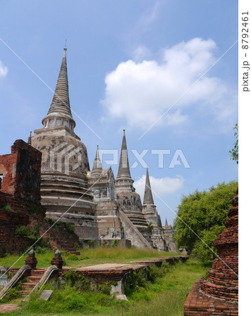 ワットプラシーサンペット 8792461