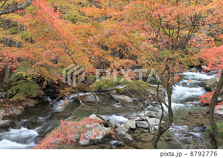 強滝渓谷 8792776