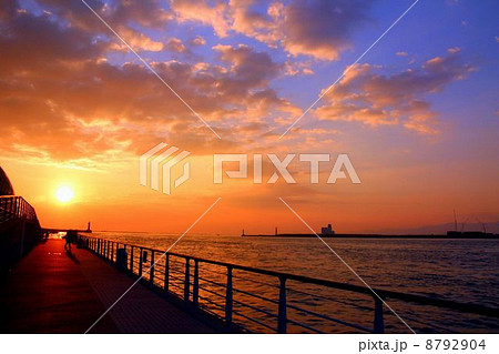 夕暮れの大阪港 8792904