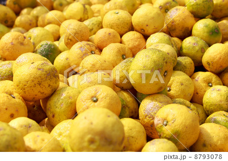 柚子（ゆず）　加工用　B級品 8793078