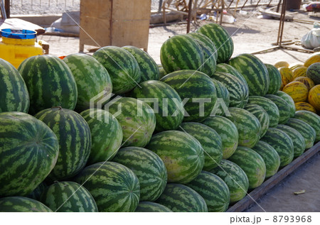 ウズベキスタン　ヒヴァ　ブハラ 8793968