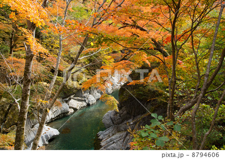 中津峡の紅葉 8794606