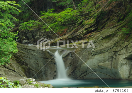 西沢渓谷の滝 8795105