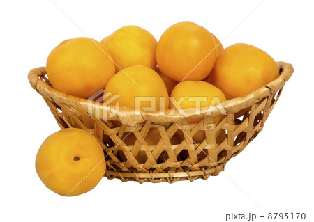 basket with apricots basket with apricots 8795170