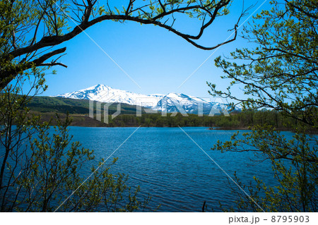 春の鳥海山 8795903