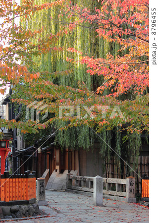 京都 祇園白川 秋の風景 京都 祇園白川 秋の風景 8796455