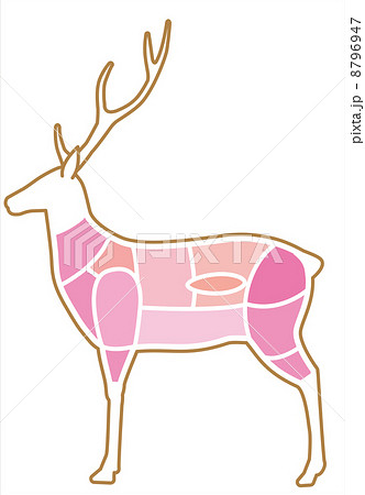 鹿肉の部位のイラスト素材