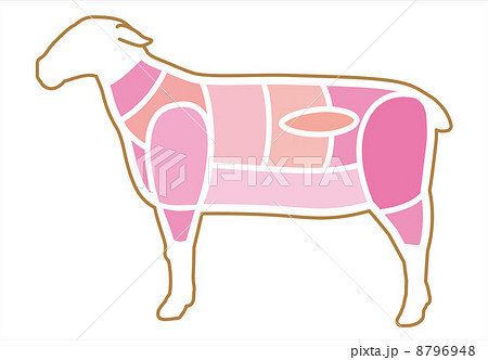 羊肉の部位 羊肉の部位 8796948