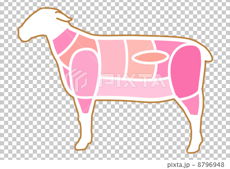 羊肉の部位 羊肉の部位 8796948
