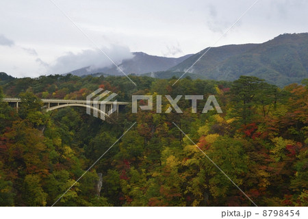 鳴子峡の紅葉 見ごろ 鳴子峡の紅葉 見ごろ 8798454