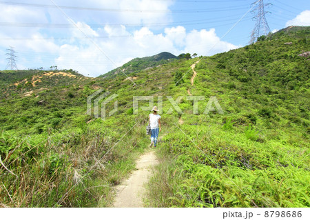 Hiking trail in mountains 8798686