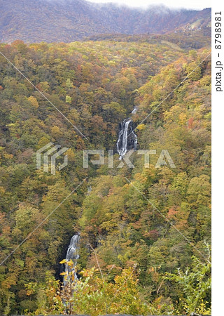 三階の滝 紅葉 全景 三階の滝 紅葉 全景 8798981