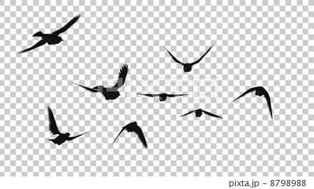 鳥のシルエットのイラスト素材 879