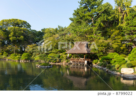 広島　縮景園 8799022
