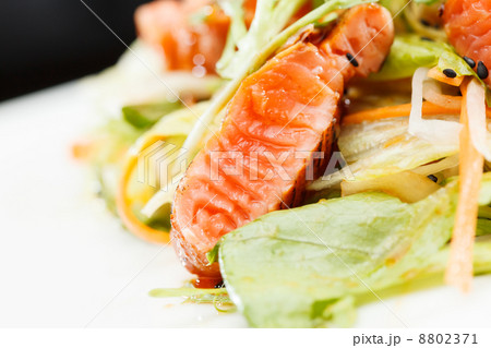 salmon salad 8802371