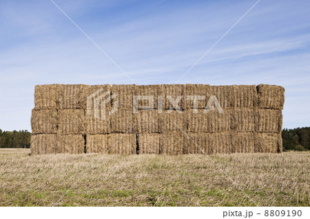 Bale Of Haystack 8809190