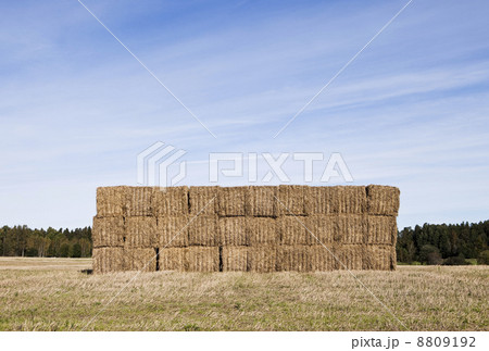 Bale of Haystack 8809192
