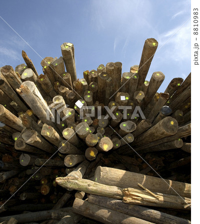 Timber Timber 8810983