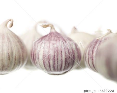 Garlic 8811228